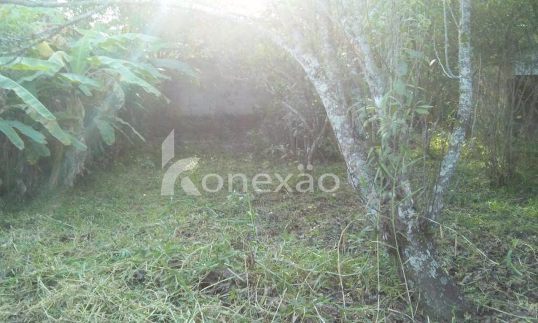 Chácara em Paraibuna/São Paulo — Ref NRHZDO — Imagem 10