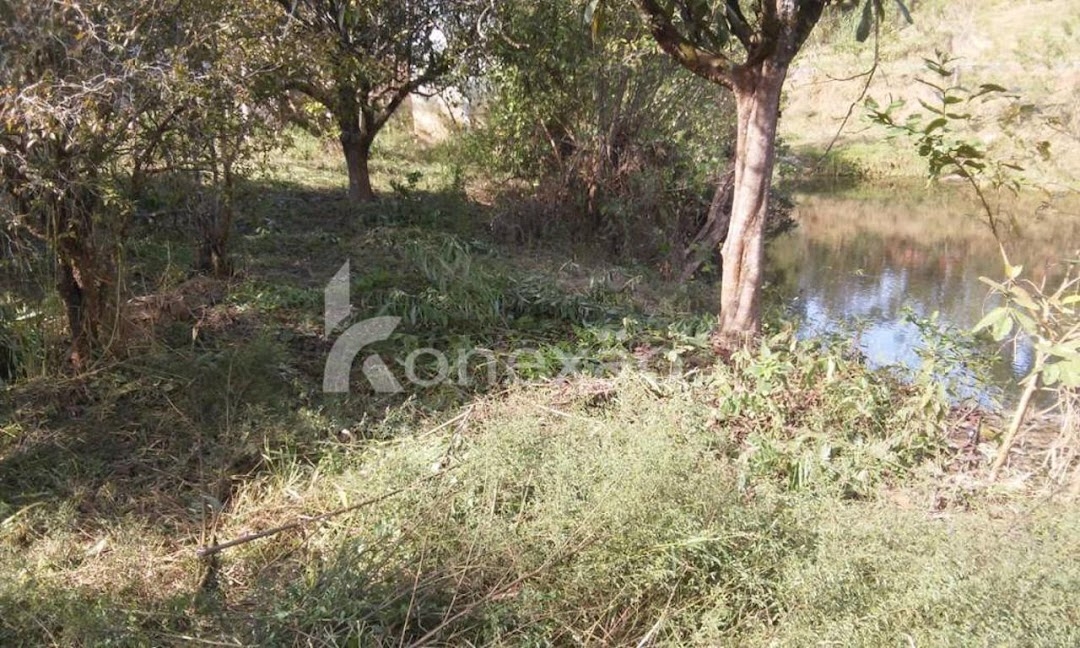 Chácara em Paraibuna/São Paulo — Ref NRHZDO — Imagem 6