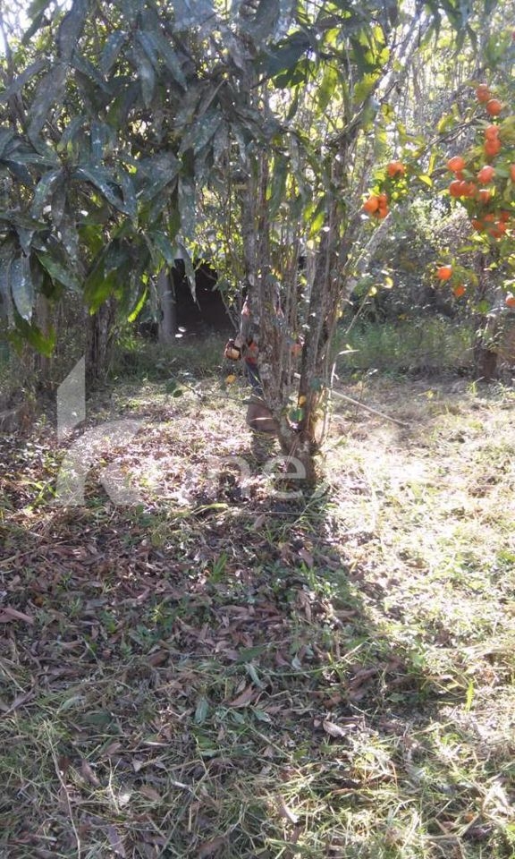 Chácara, 3 quartos, 200 m² - Foto 2