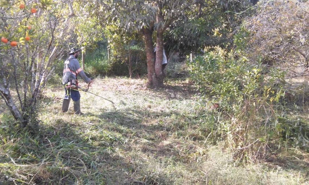Chácara em Paraibuna/São Paulo — Ref NRHZDO — Imagem 12