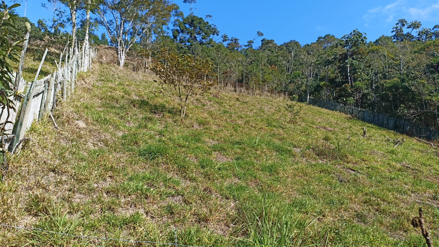 Sítio em Paraibuna/São Paulo — Ref 41H00B — Imagem 4