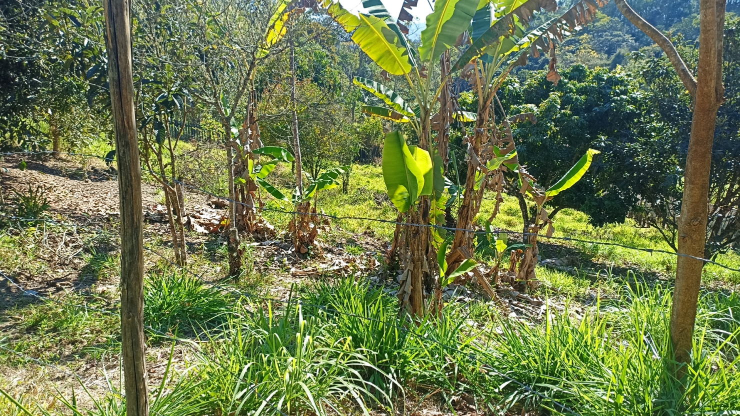 Sítio em Paraibuna/São Paulo — Ref 41H00B — Imagem 5