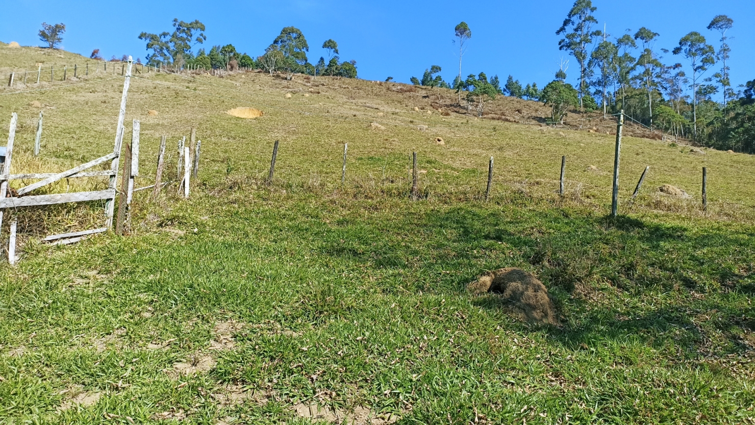 Sítio em Paraibuna/São Paulo — Ref 41H00B — Imagem 7
