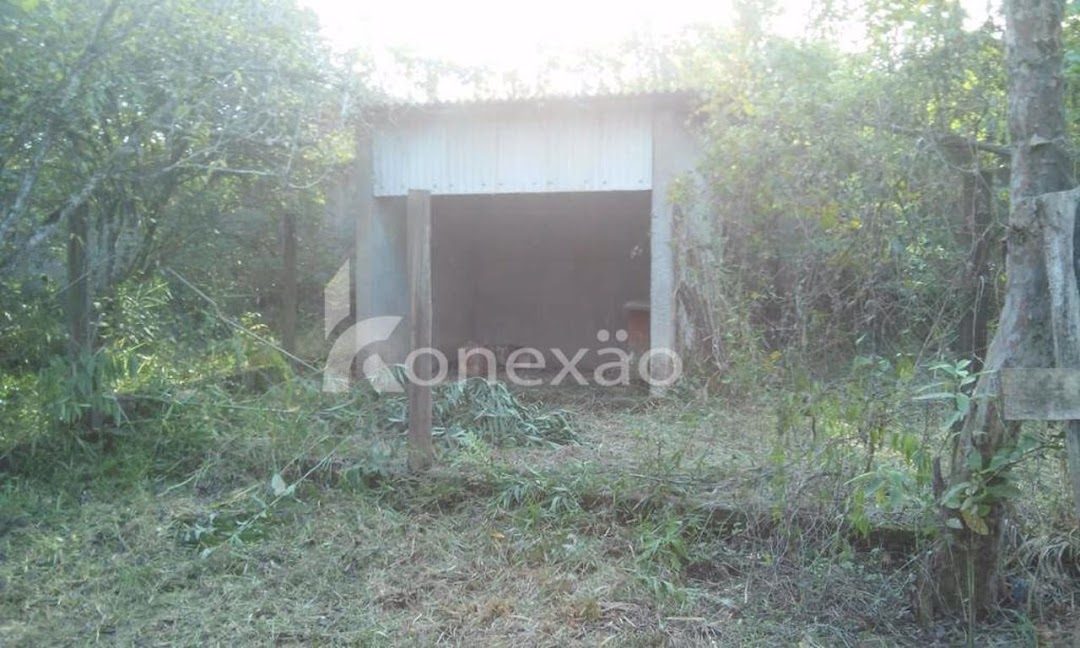 Chácara, 3 quartos, 200 m² - Foto 3