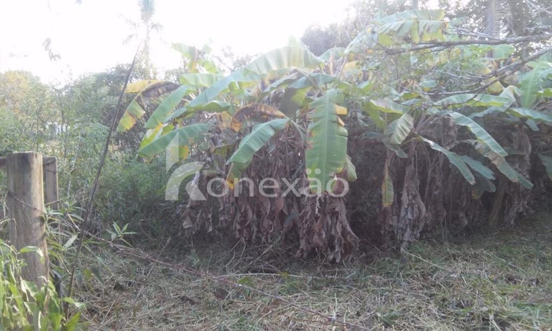 Chácara em Paraibuna/São Paulo — Ref NRHZDO — Imagem 20