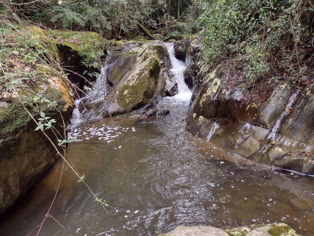 Sítio, 2 quartos, 100 m² - Foto 3