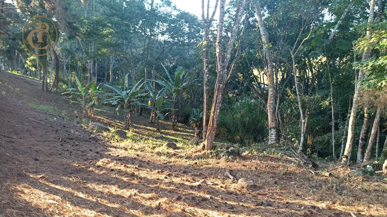 Sítio, 3 quartos, 700 m² - Foto 2