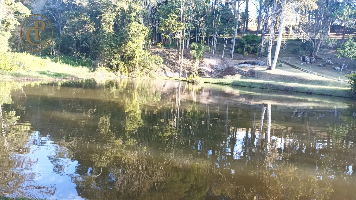 Sítio, 3 quartos, 700 m² - Foto 4