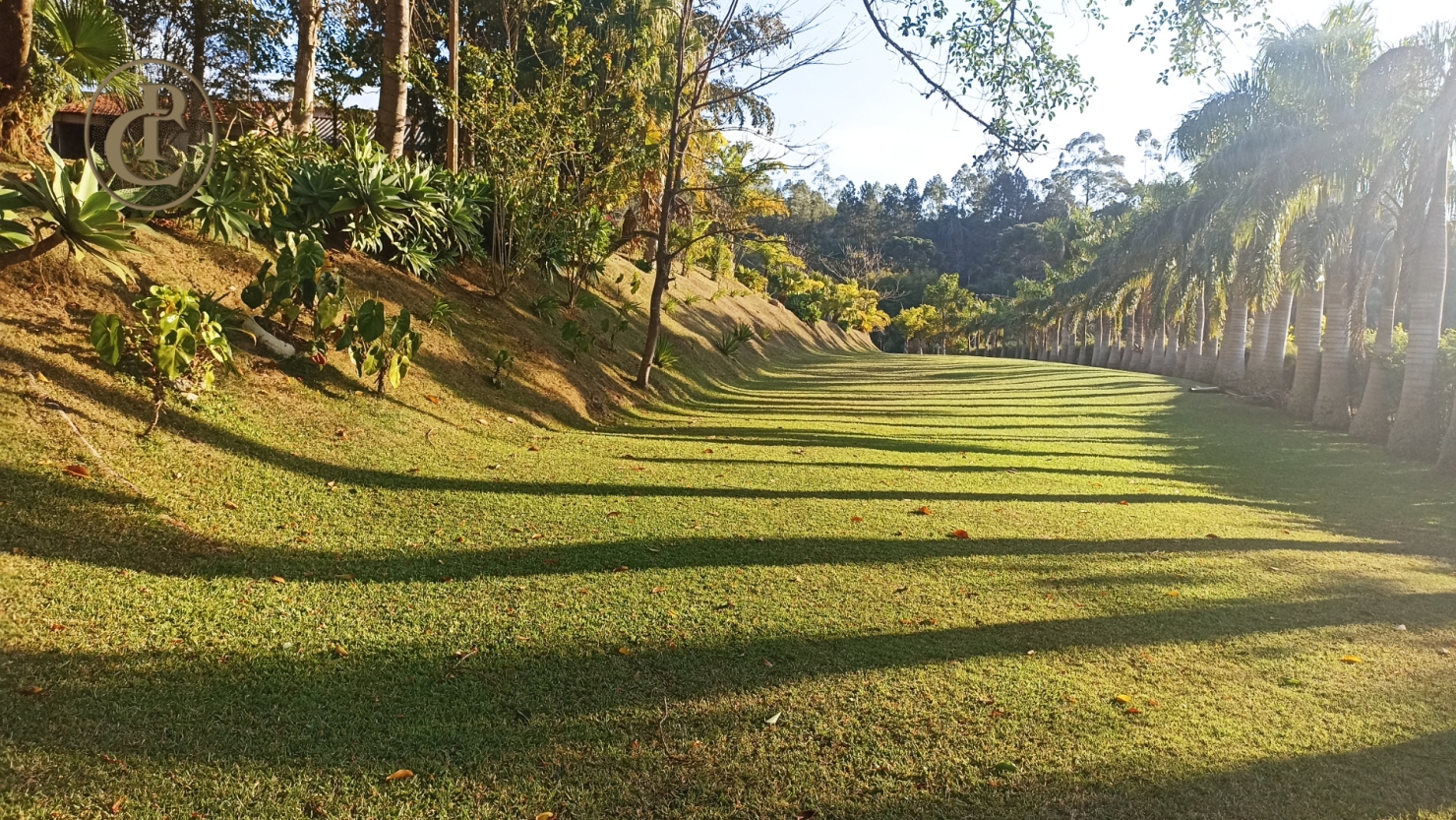 Sítio, 3 quartos, 700 m² - Foto 1