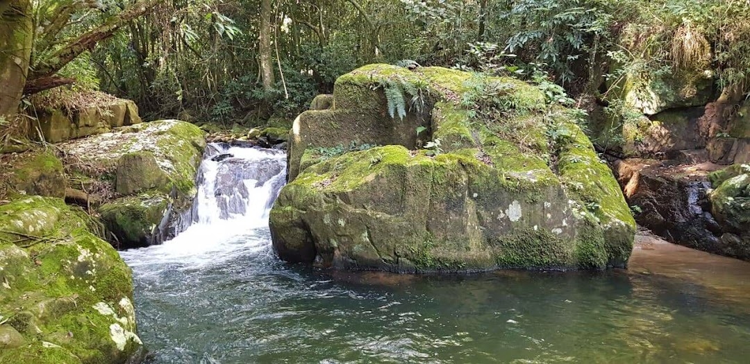 Sítio, 2 quartos, 100 m² - Foto 4