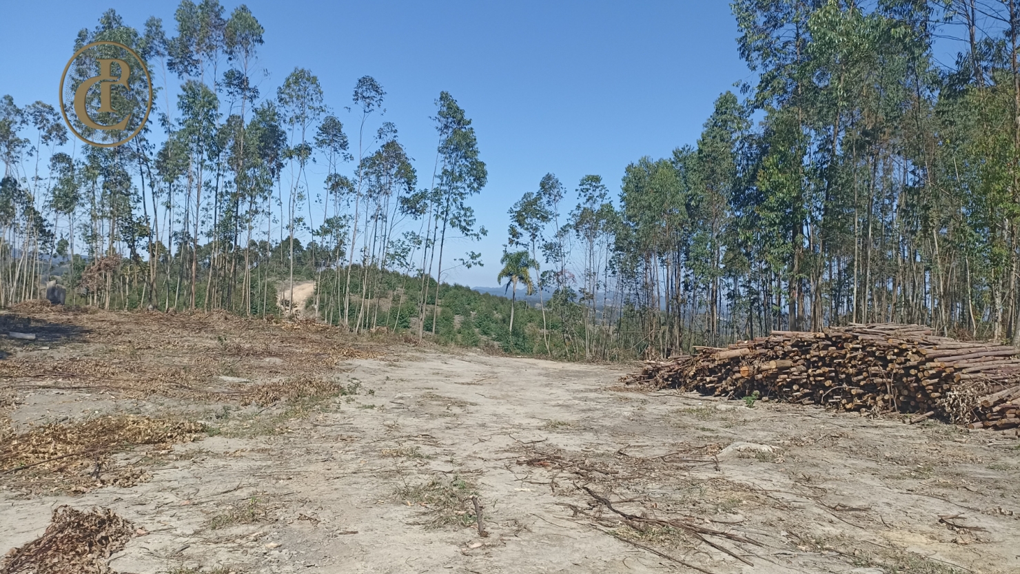 Fazenda, 300 m² - Foto 3