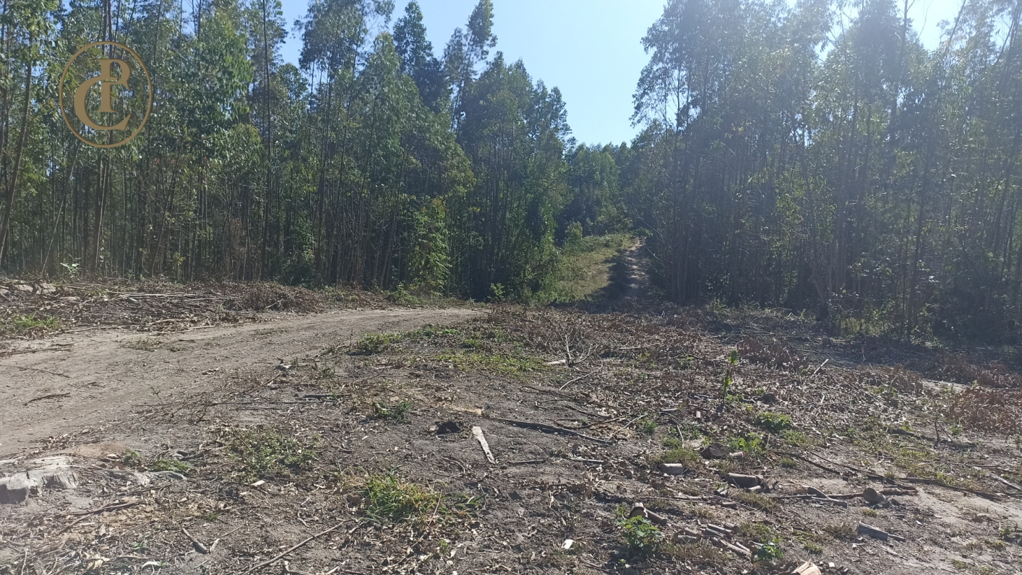 Fazenda, 300 m² - Foto 4