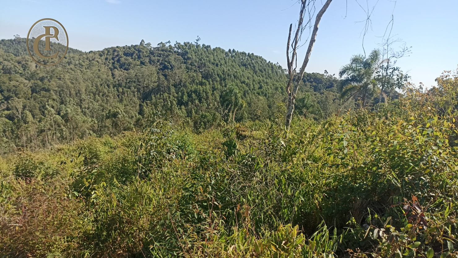 Fazenda, 300 m² - Foto 6