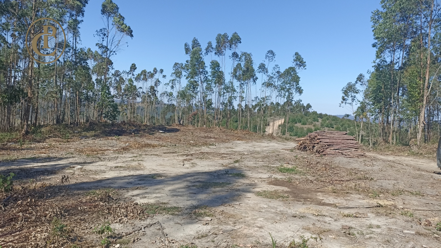 Fazenda, 300 m² - Foto 7