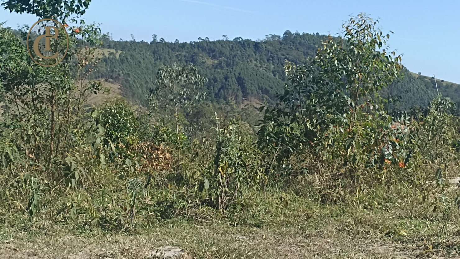 Fazenda, 300 m² - Foto 9