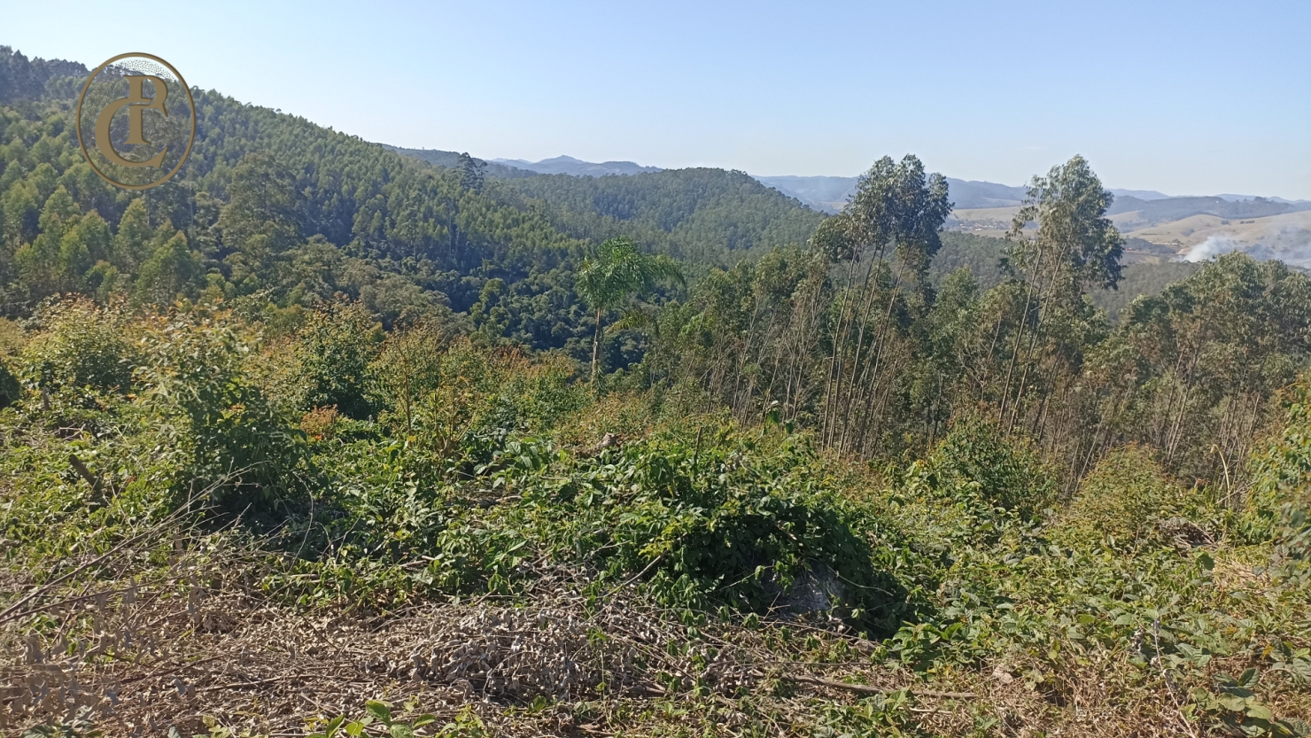 Fazenda, 300 m² - Foto 12