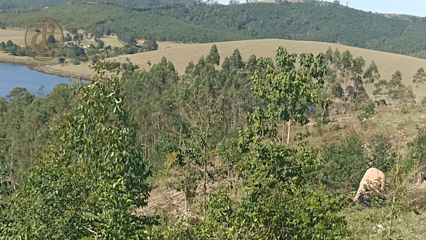 Fazenda, 300 m² - Foto 13