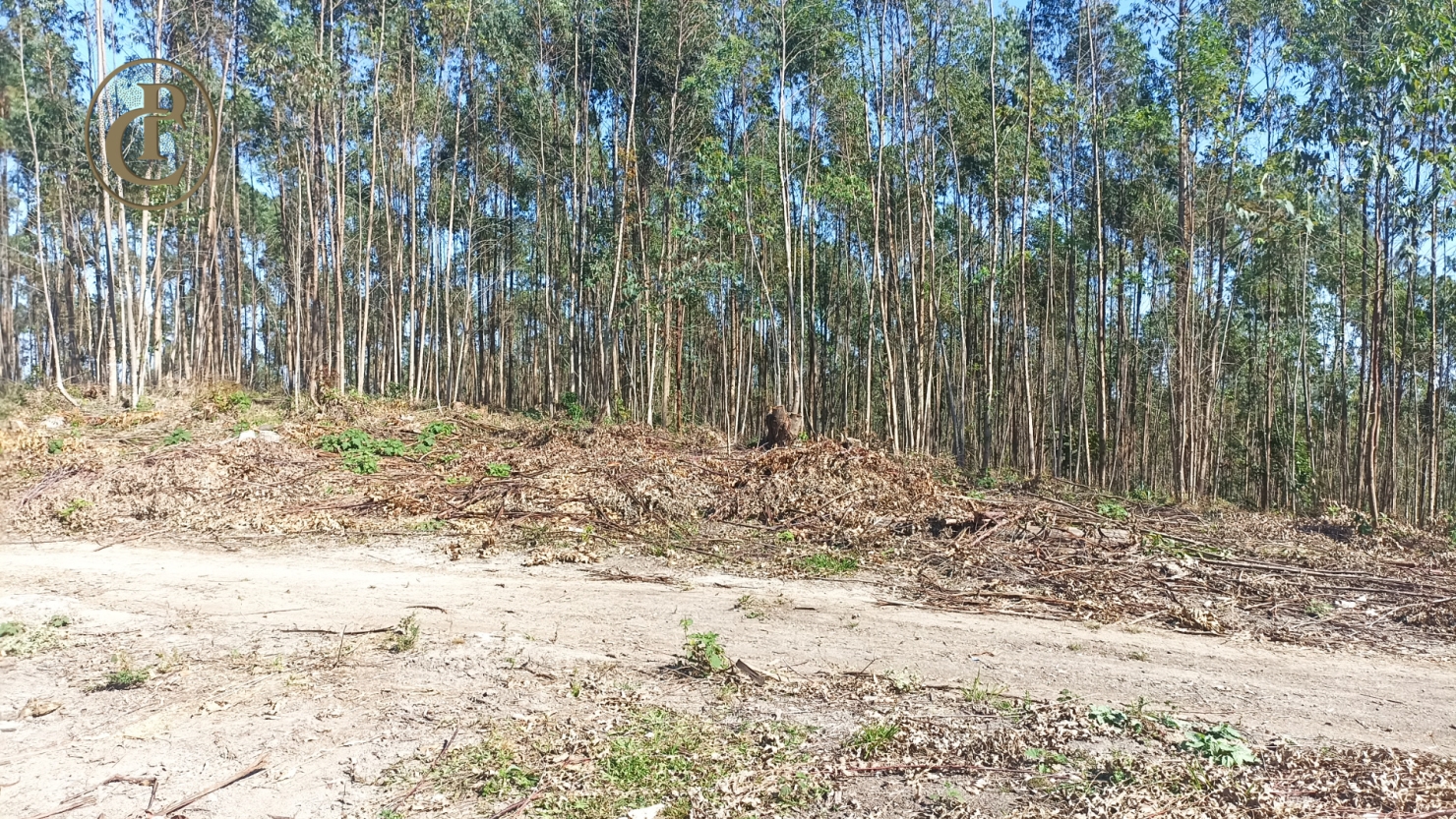 Fazenda, 300 m² - Foto 15