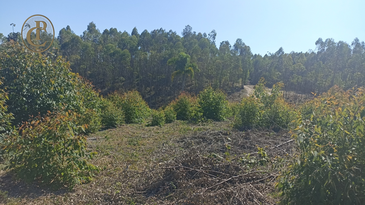 Fazenda, 300 m² - Foto 16