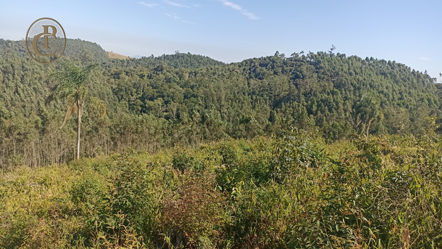 Fazenda, 300 m² - Foto 18