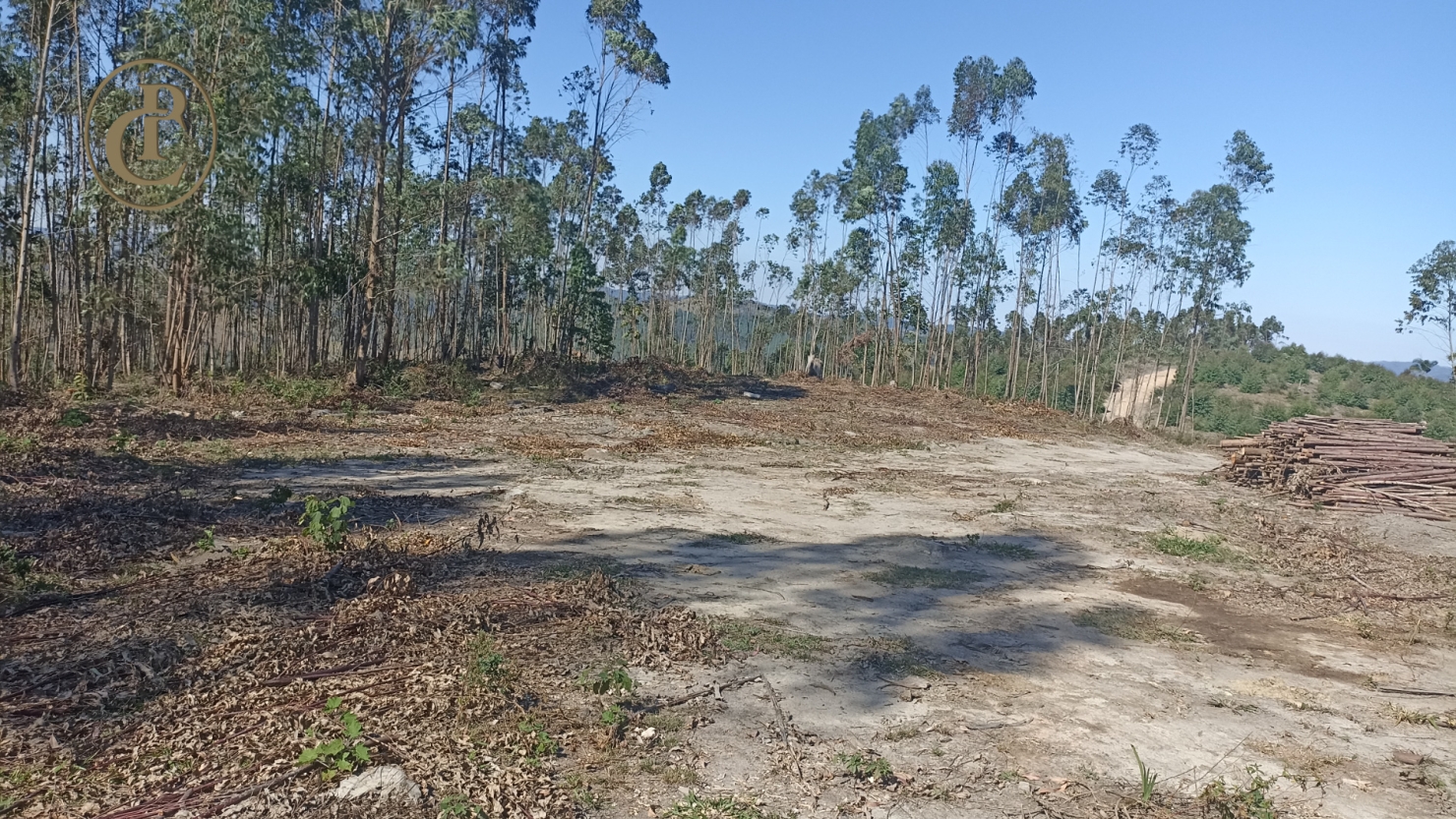 Fazenda, 300 m² - Foto 20