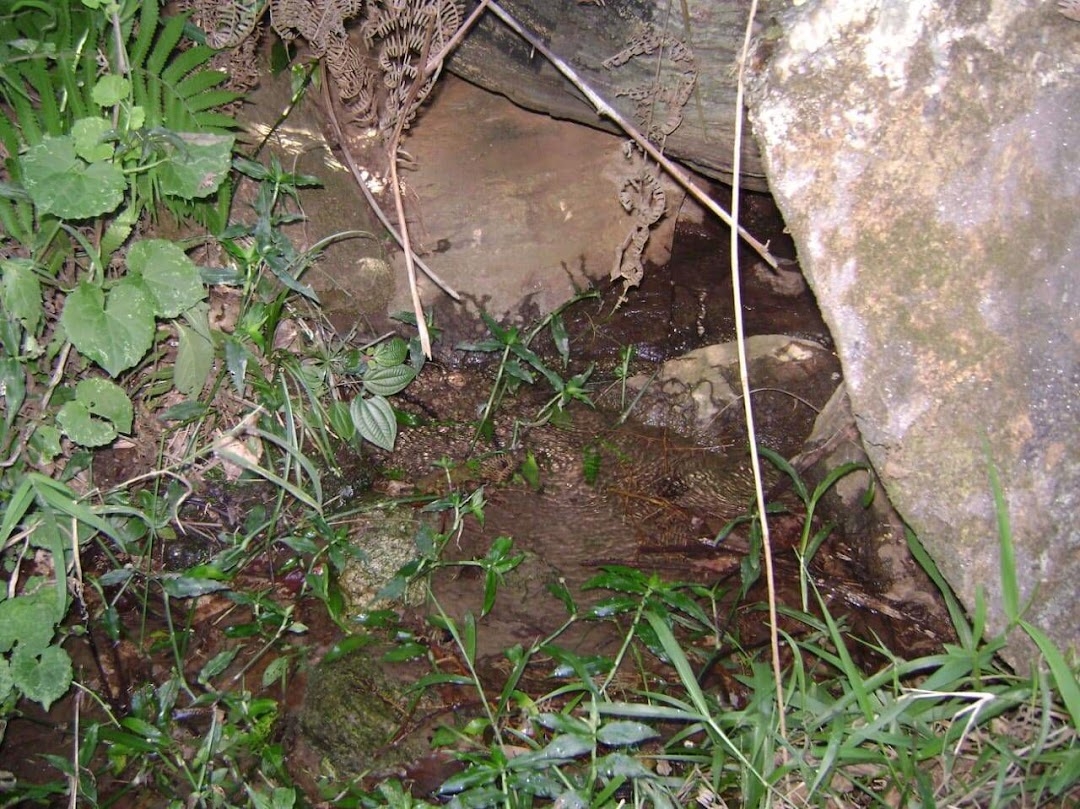 Sítio em Silveiras/São Paulo — Ref R9DHUN — Imagem 33