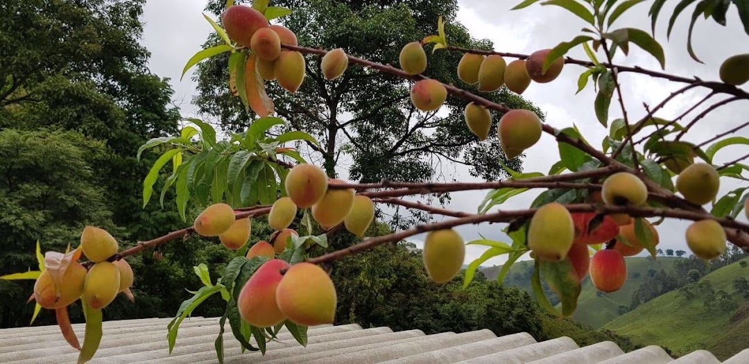 Sítio em Silveiras/São Paulo — Ref R9DHUN — Imagem 29