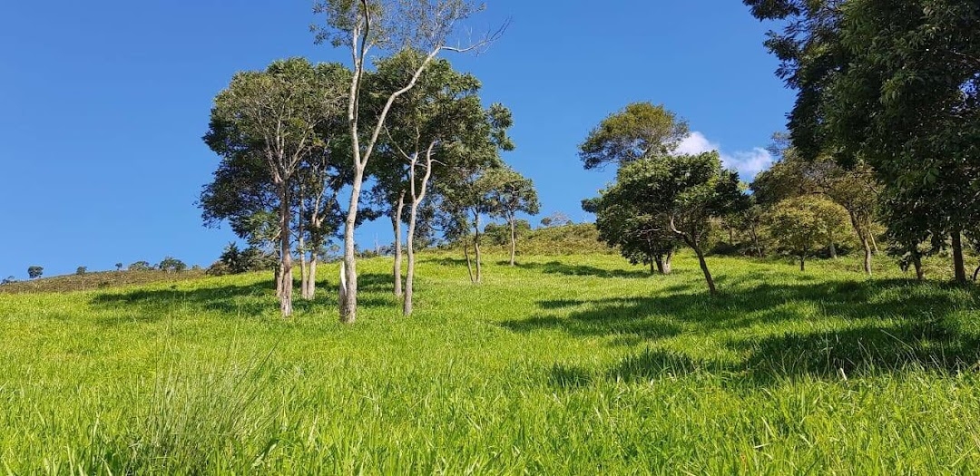 Sítio em Silveiras/São Paulo — Ref R9DHUN — Imagem 31