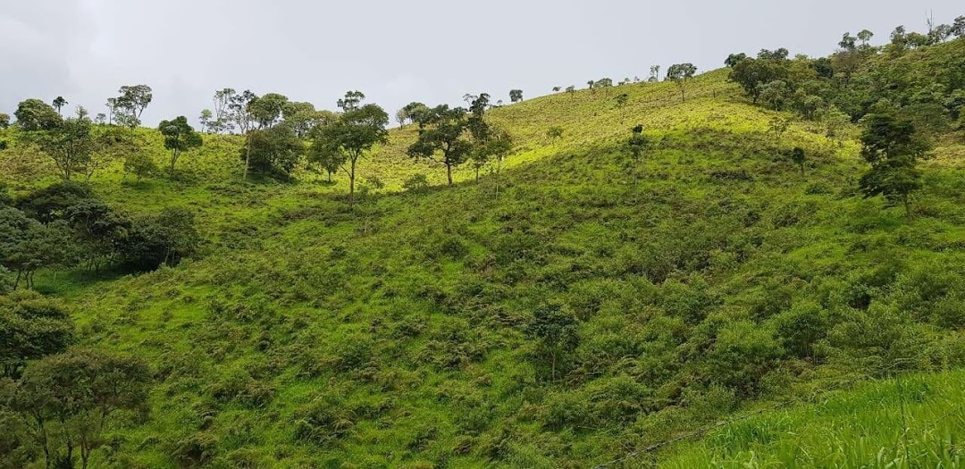 Sítio em Silveiras/São Paulo — Ref R9DHUN — Imagem 16