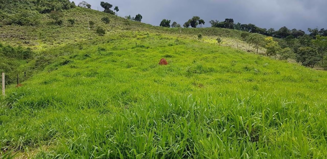 Sítio em Silveiras/São Paulo — Ref R9DHUN — Imagem 26