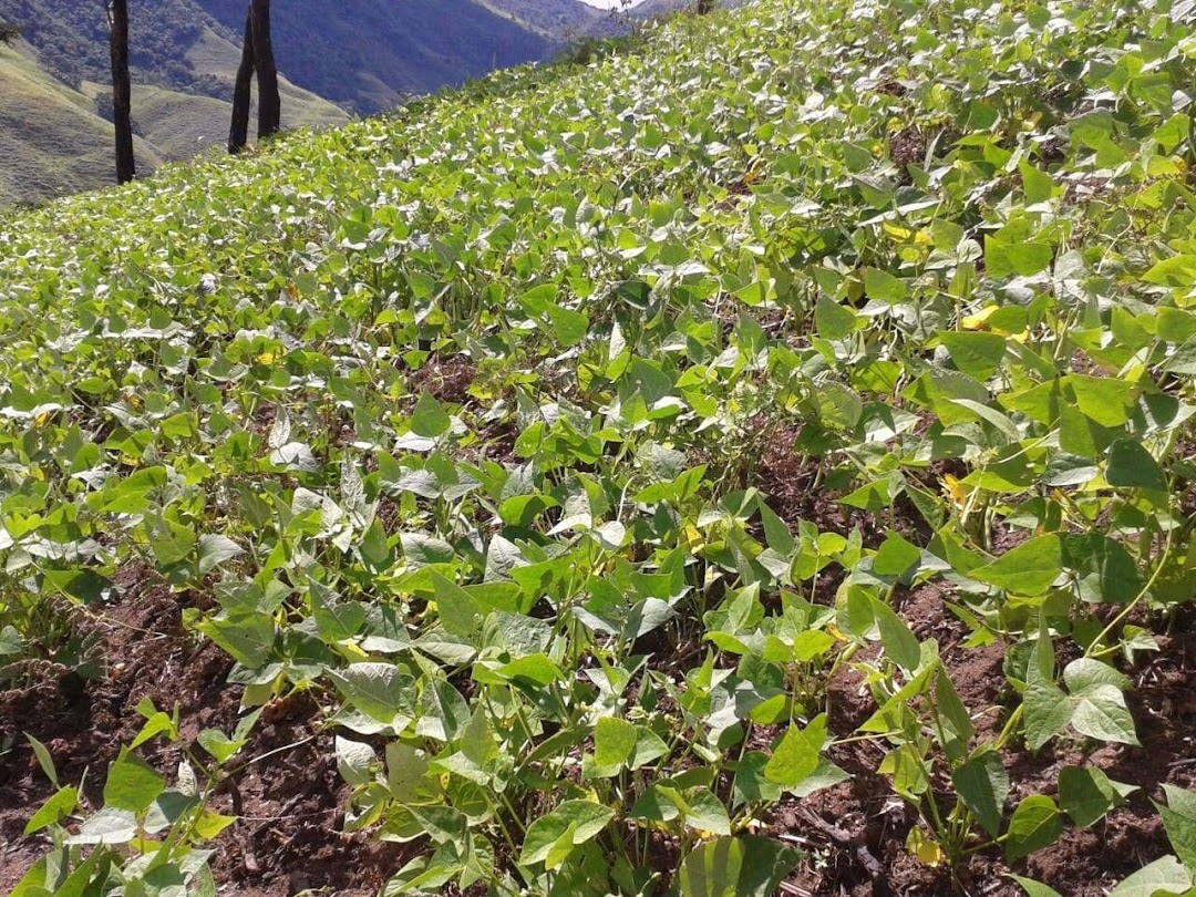Sítio em Silveiras/São Paulo — Ref R9DHUN — Imagem 35