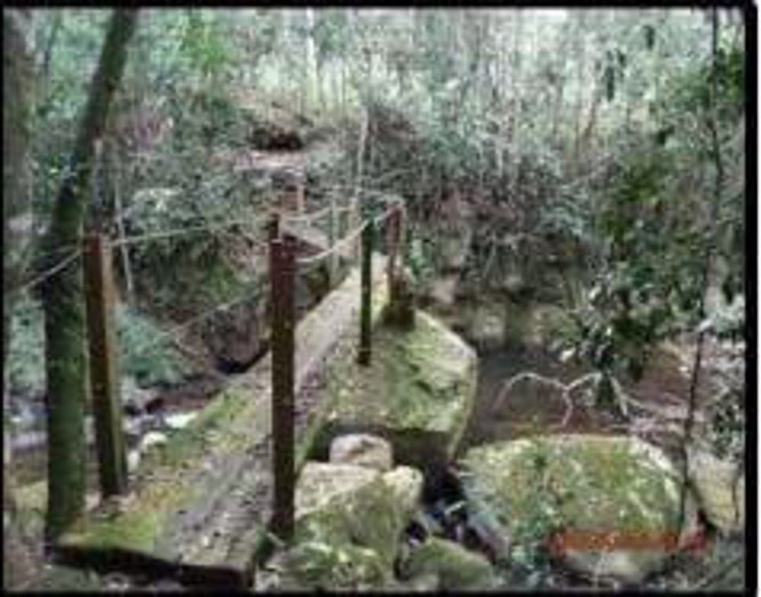 Sítio em Silveiras/São Paulo — Ref R9DHUN — Imagem 38