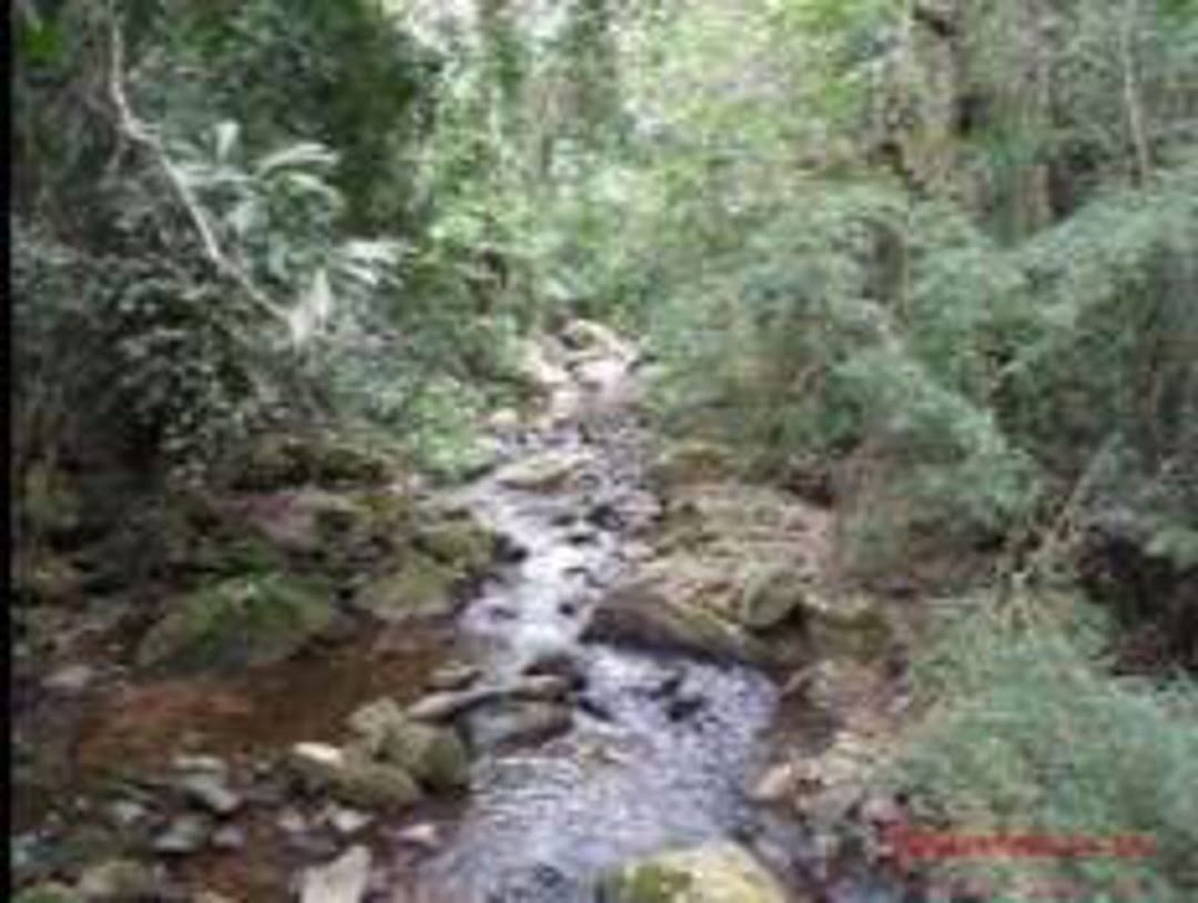 Sítio em Silveiras/São Paulo — Ref R9DHUN — Imagem 41