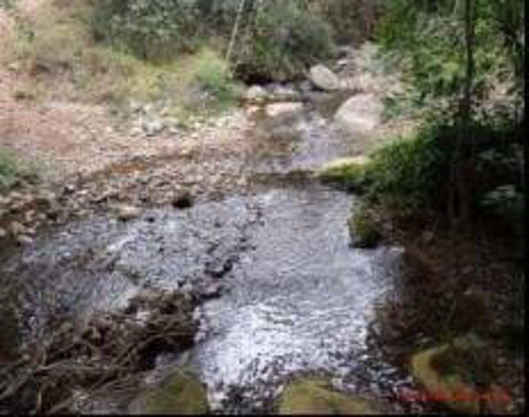 Sítio em Silveiras/São Paulo — Ref R9DHUN — Imagem 39