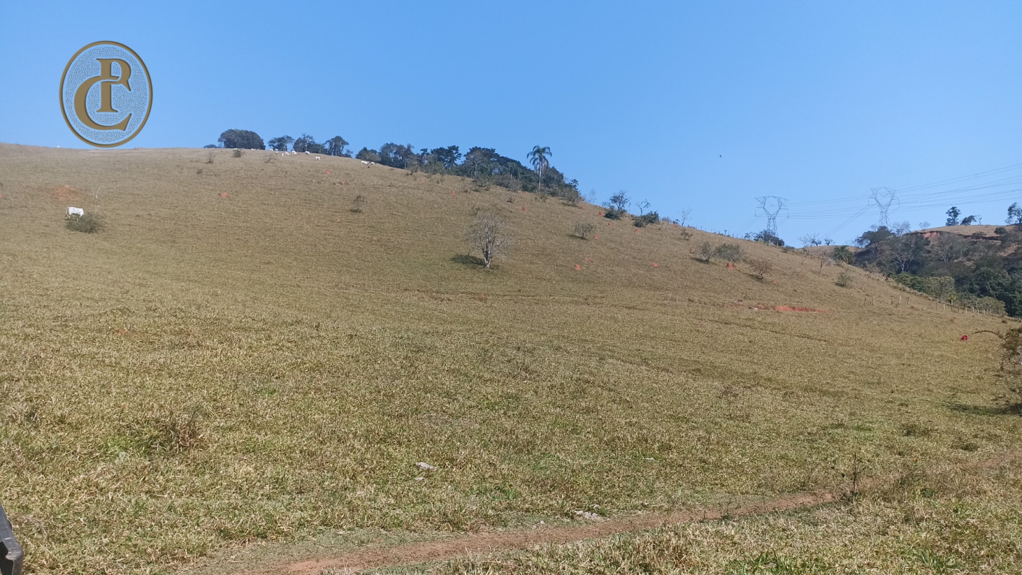 Terreno, 500 m² - Foto 5