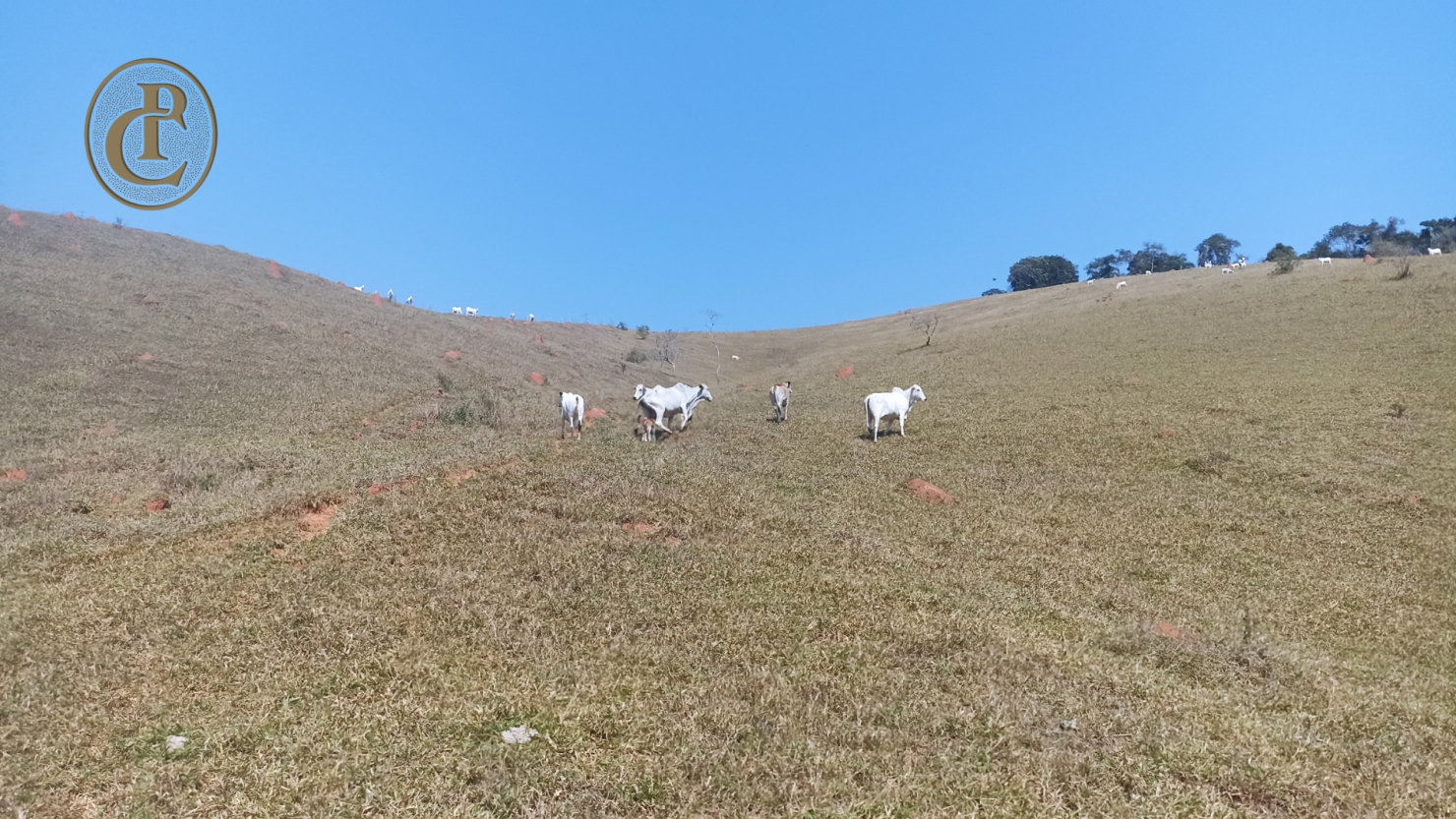 Terreno, 500 m² - Foto 11