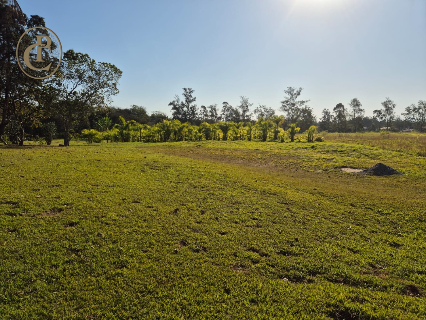 Sítio, 4 quartos, 500 m² - Foto 4