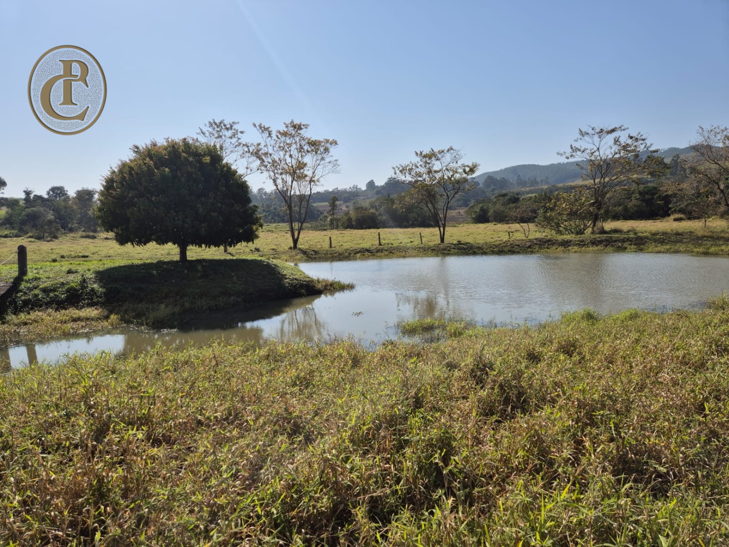 Sítio, 4 quartos, 500 m² - Foto 1