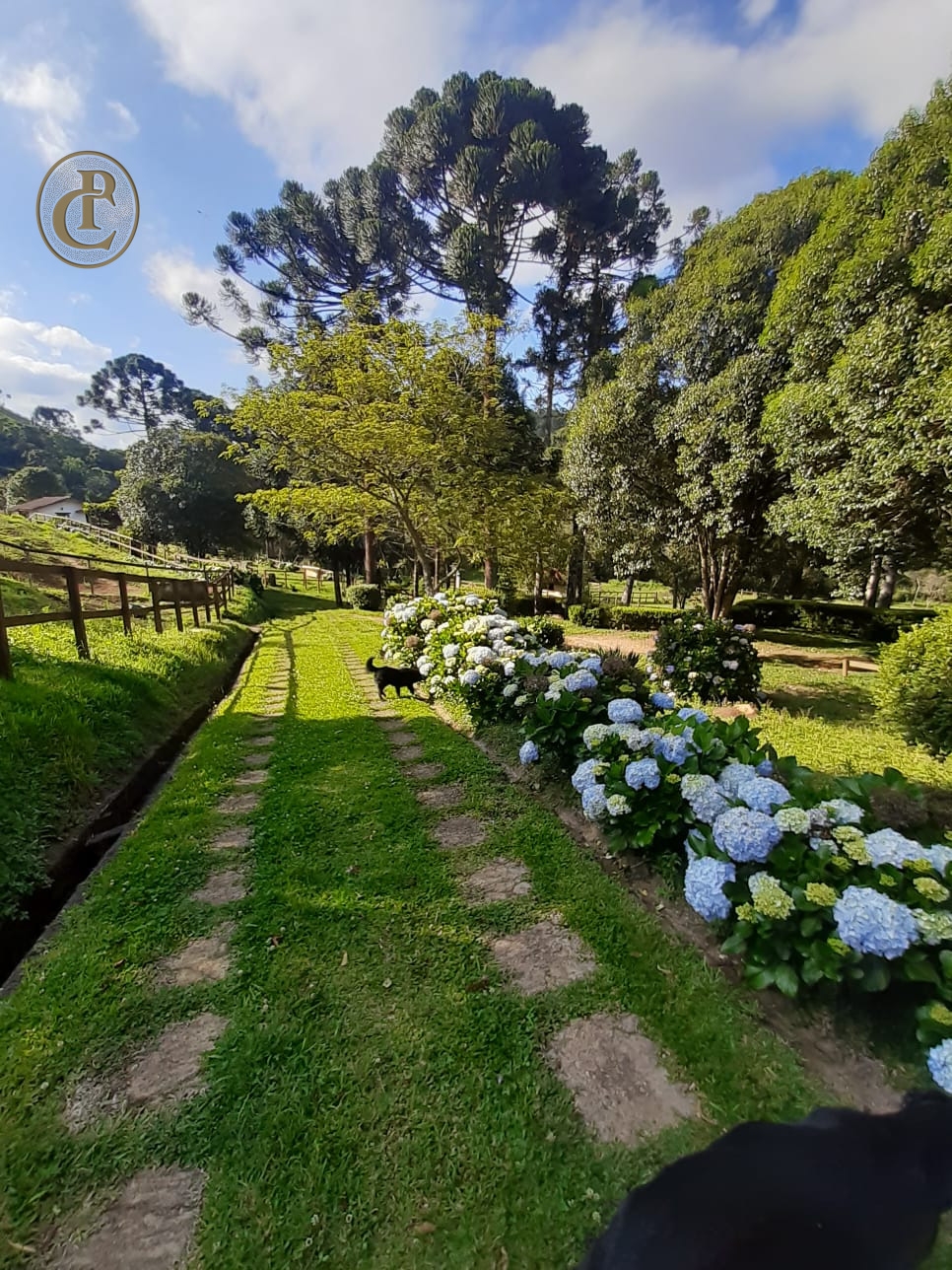 Fazenda, 250 m² - Foto 4