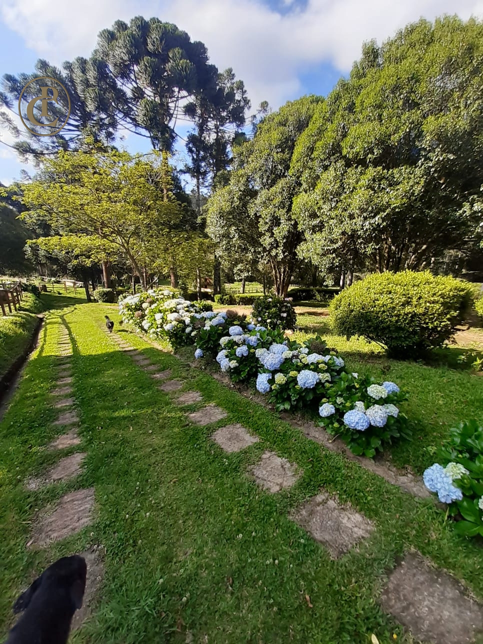 Fazenda, 250 m² - Foto 5