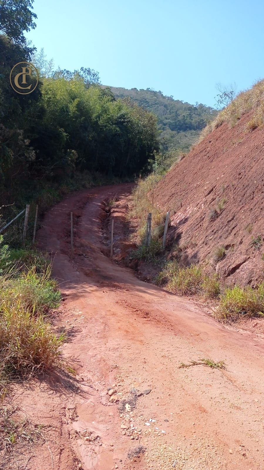 Terreno, 5 hectares - Foto 5