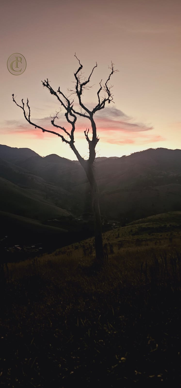 Terreno, 5 hectares - Foto 7