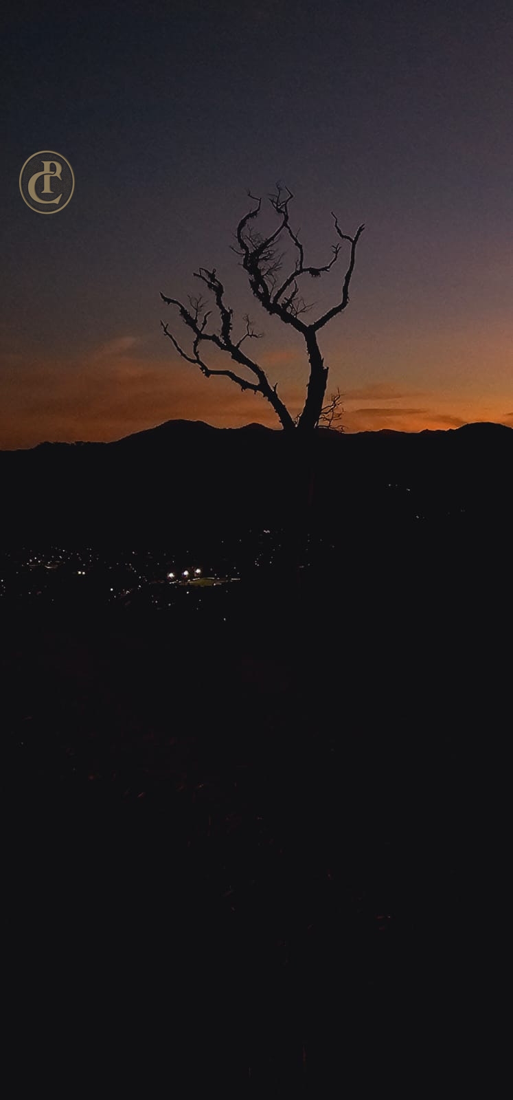 Terreno, 5 hectares - Foto 8