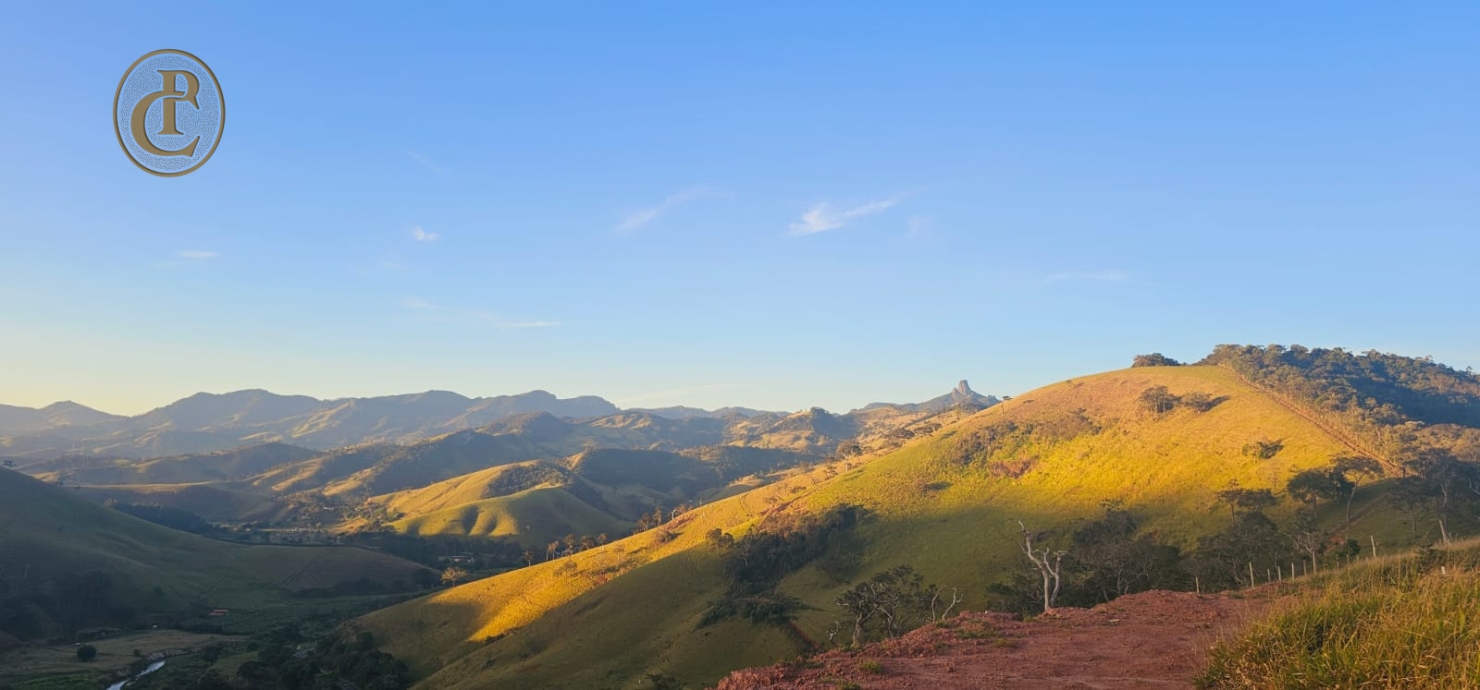 Terreno, 5 hectares - Foto 10