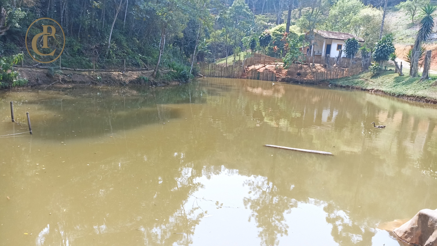 Chácara, 4 quartos, 800 m² - Foto 2