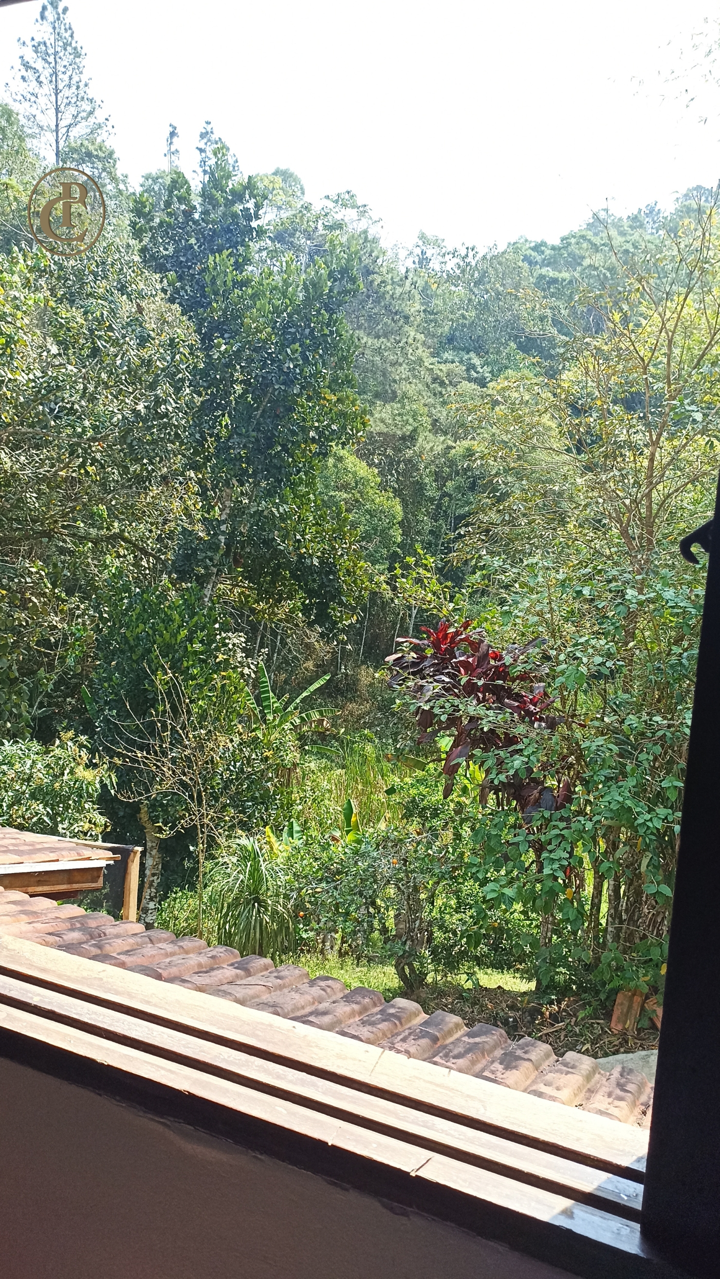 Chácara, 4 quartos, 800 m² - Foto 3