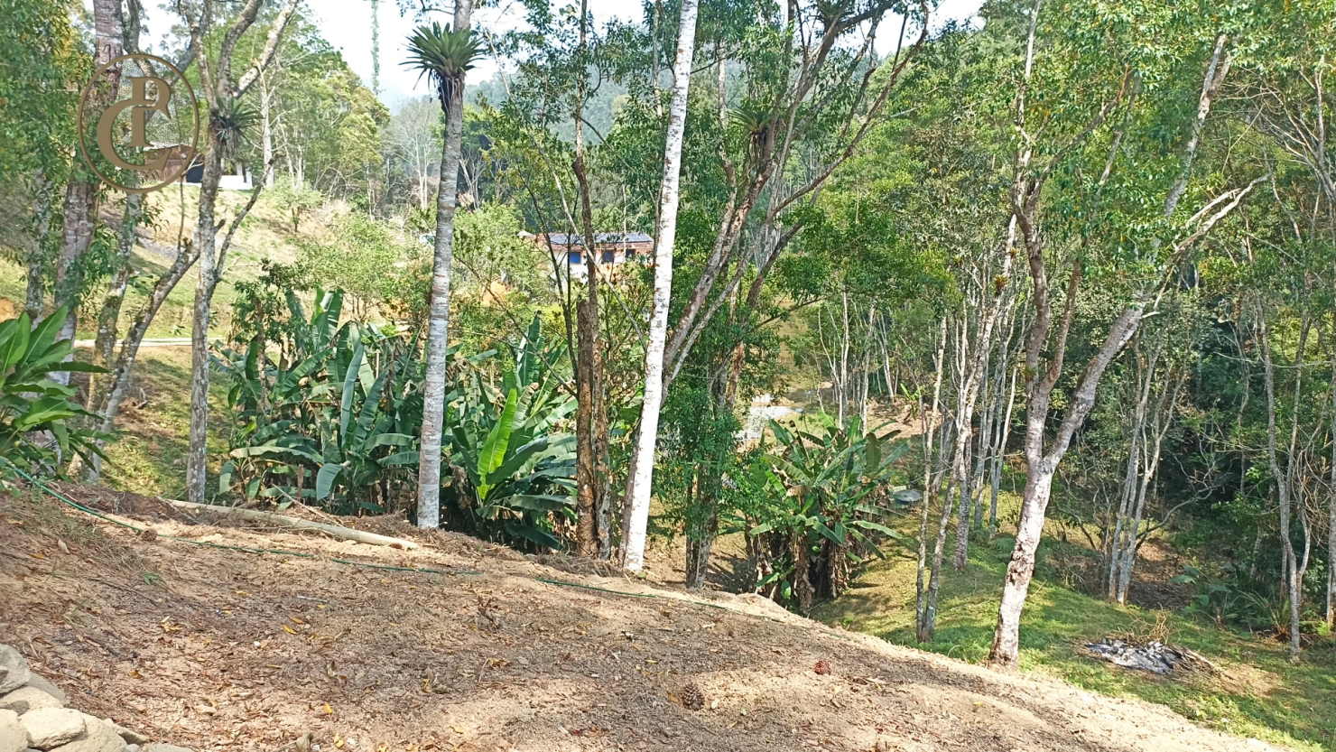 Chácara, 4 quartos, 800 m² - Foto 5