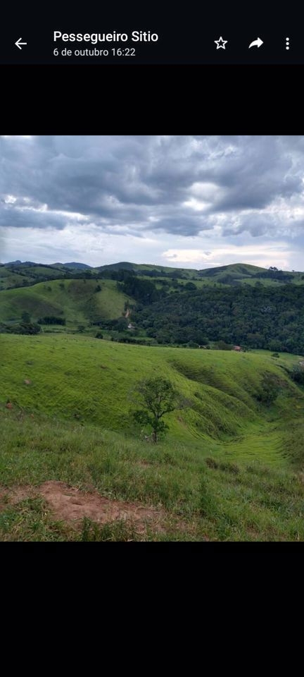 Sítio, 3 quartos, 90 m² - Foto 3