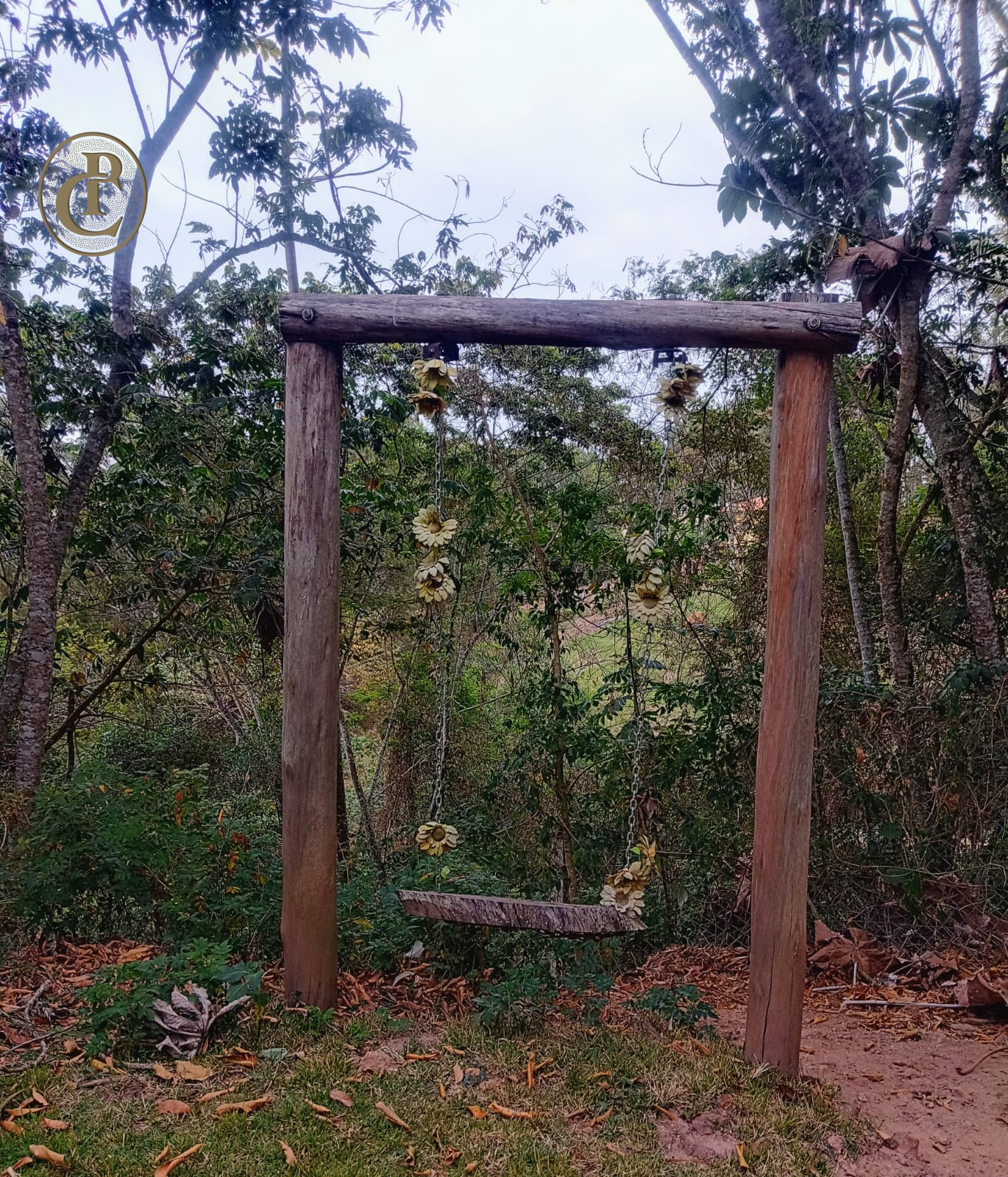 Sítio, 5 quartos, 12 hectares - Foto 5