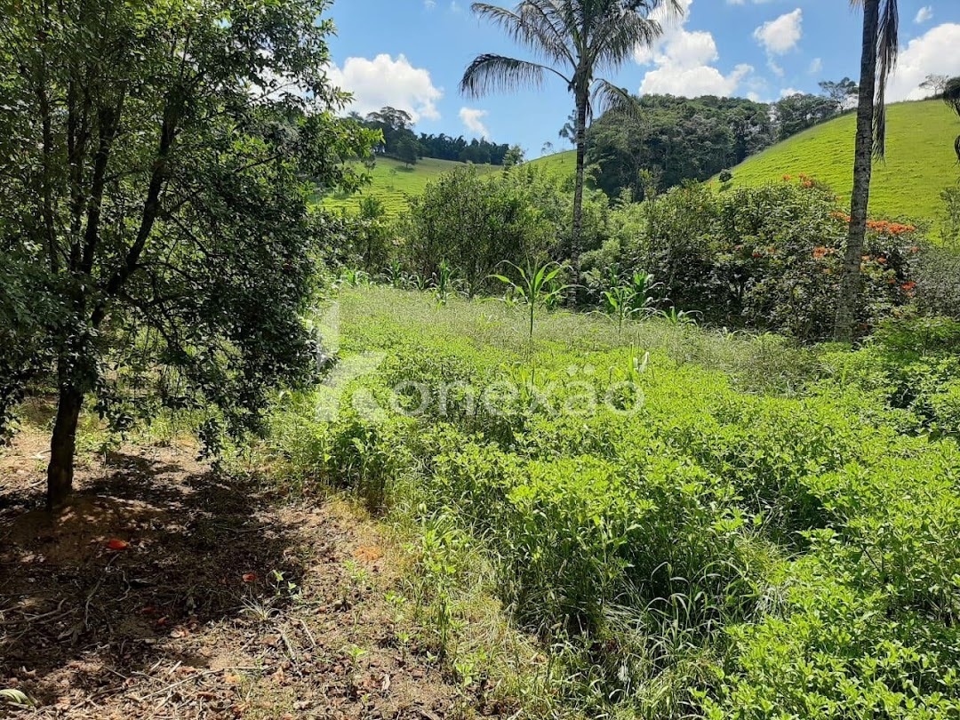 Sítio em Paraibuna/São Paulo — Ref 72M3ZW — Imagem 10